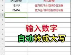 输入数字自动转成大写#excel #wps #文员 #0基础学电脑 #办公技巧视频封面