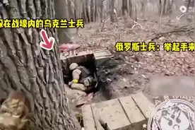 #我们都在平凡的日子里拼命挣扎视频封面
