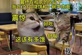 说一下你们最纯饿的那一年都干了什么？ #猫meme小剧场 #最纯饿 #最纯饿的那一年 #猫meme #搞笑段子视频封面