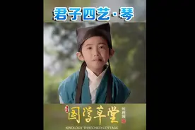 琴：一般意义上指我国古代一种乐器——古琴视频封面