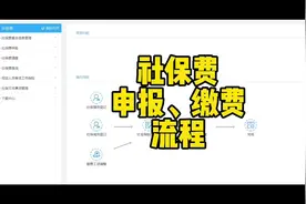 社保费申报缴费流程，电子税务局里面统一操作流程#社保视频封面