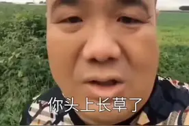 刀哥你头上长草了#刀哥 #二次元刀哥 #刀哥整活