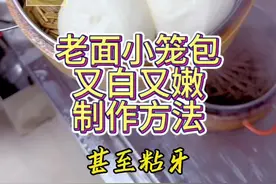 老面小笼包又白又润的方法以及老面小笼包回缩发黏的原因#老面小笼包发面方法#小笼包不够蓬松的原因#老面小笼包做法#小笼包做法 #老面小笼包视频封面