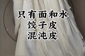 不做任何添加只有面和水，视频有几个重点掌握好，谁都能做出这样的饺子皮馄饨皮#馄饨皮的做法 #饺子皮视频封面
