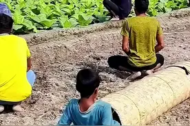 国外男孩恶作剧，结果还真没有被发现 #国外视频分享 #奇闻趣事 #老外真会玩视频封面