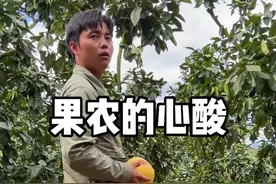 田间地头，只有农民才懂农民的不易！ #海扬用心寻果记#平和琯溪蜜柚 #助力乡村振兴视频封面