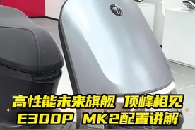 永远的低调之神，九号E300p mk2参数详解！视频封面