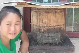 #分享养蜂经验#蛋蛋群快速成为强群#抖音新农人视频封面