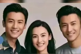 #娱乐圈 #张柏芝 #谢霆锋视频封面