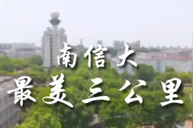 最美三公里#南京信息工程大学 #南京信息工程大学校园墙 #校园