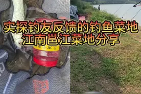 菜地分享，南宁白沙大桥附近钓鱼菜地，钓友推荐的。视频封面