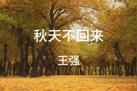 王强的一首秋天不回来，当时可是火爆了千家万巷的啊视频封面