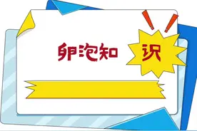 祝你“好孕”视频封面