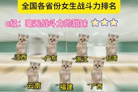 各省份女生战斗力排名，看看排名是不是对的吧#猫meme视频封面