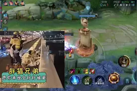 下辈子希望你好好爱自己，愿天堂不会受爱情的苦，胖猫一路走好。视频封面