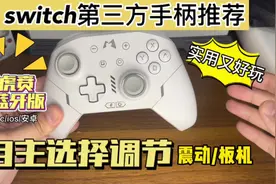 switch第三方手柄魔派虎贲开箱！功能和性能都非常够用视频封面