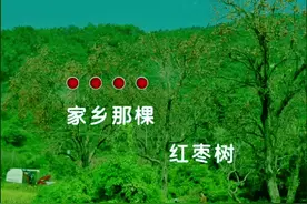 #经典老歌 #任妙音 #家乡的红枣树 #完整版