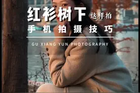 红衫树下试试这样拍也太好看了吧！#手机摄影 #光影中的冬日瞬间 #拍摄技巧 #情绪短片 #拍出电影感视频封面