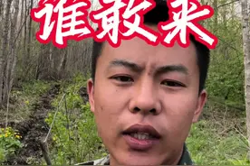 这个老虎应该不是去年录到的那个，这个小点，但咬人也得挺疼。#记录真实生活 #大自然的馈赠 #东北虎 #农村生活视频封面