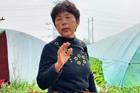 黄瓜不想育苗也可以的，等到清明前后露地能种的时候可以直接点籽，发芽也很快#三农 #黄瓜种植 #黄瓜 #蔬菜种植 #蔬菜杨大姐 @DOU+小助手 @DOU+上热门 @抖音创作小助手