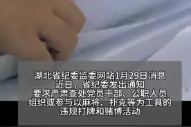 从严从快查处！湖北省纪委针对违规打牌和赌博行为开展专项整治视频封面