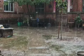 心情不好低落时，不妨来看看我的作品。静静聆听那来自农村田间的雨声，滴滴答答，仿佛能洗去心中的烦恼。愿这独属于田野的韵律，能为你带来一份宁静与慰藉，让你的心情逐渐放晴。#乡村里藏着最惬意的生活 #农村雨天 #田园生活 #农村生活 #下雨天视频封面