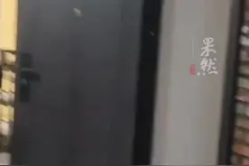 业主公区砌墙称公摊面积也是我的（青蜂侠Bee）视频封面