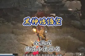 黑神话悟空 最强小怪的排名 碰到这些最恶心的粪怪可以使用戳棍视频封面