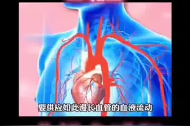 #热门 #人体心脏#永动机视频封面