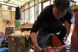 西藏牦牛值多少钱，上次有人来西藏撞死一头牦牛赔了1.5w，你们信吗#西藏美食 #牧区风景 #我的乡村生活视频封面