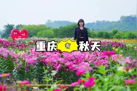 哪个说重庆的春秋都留给战国了，这十月份的重庆不正是秋日如画吗视频封面