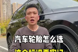 汽车轮胎怎么选，这个标识要牢记。#东风胜利 #hl高承载 #高载重 #胜利轮胎 #途虎养车轮胎节视频封面