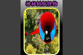 我竟然发现了变异树妖怪物 #奇闻奇事 #无人机探险视频封面