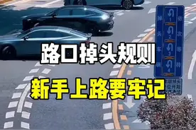 路口掉头规则，新手上路要牢记。#驾驶技巧 #新手上路 #带你懂车 #路口掉头规则 #每天一个用车知识 @抖音汽车视频封面