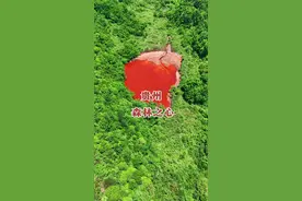 在贵州深山处发现了一颗森林的心脏#森林之心 #贵州 #自然奇观