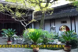 老祖宗的建房禁忌有多绝？门前一棵树竟能影响子孙命运视频封面