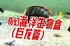开到什么养什么！这回的惊喜好大～ #诺亚方缸视频封面
