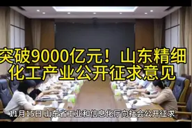突破9000亿元！山东精细 化工产业公开征求意见#石化 #石油化工视频封面