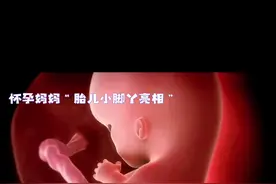 孕期“城门失守”警报：胎儿探头背后的科学攻略视频封面