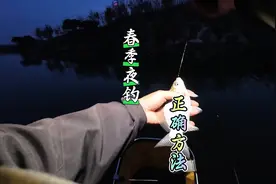春季夜钓 #钓狂#钓鱼技巧 #野钓鲫鱼视频封面