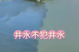 当连江与北江交汇时，出现了“井水不犯河水”的奇妙景象#航拍 #旅行推荐官 #自然奇观 #英德 #大自然视频封面