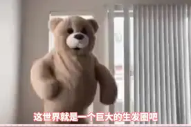 你们半个娱乐圈都在用的好东西怎么才告诉我！！#张馨予消失的头发回来了视频封面