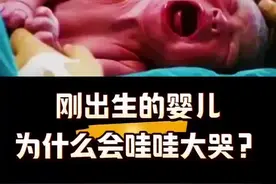 刚出生的婴儿为什么会哇哇大哭？#寻找1000位科普达人 #每天持续分享科普知识 #科普一下 #涨见识