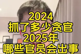 2024年全国抓了多少贪官？2025年哪些官员可能出事？ #中纪委 #纪检监察 #留置#职务犯罪#刑事律师林宁杰视频封面