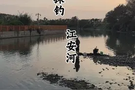 探钓：江安河、喜获大沙沟！#探钓 #钓鱼人 #沙沟鱼 #成都钓鱼视频封面