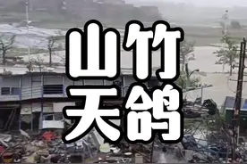 为啥在很多人的心目中，山竹台风跟天鸽台风才是最猛的？#台风视频封面