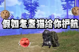 假如耄耋猫给你护航#地铁逃生 #哈基米  #耄耋猫