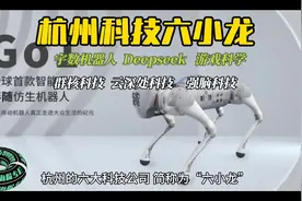 杭州六大科技公司#AI科技#实力企业#AI先驱视频封面