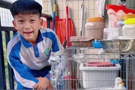 柯尔鸭吃什么多生蛋 科尔鸭吃什么多生蛋！#科尔鸭生蛋 #科尔鸭蛋 #孵化柯尔鸭#柯尔鸭养殖