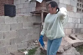 #土养取蜂蜜的整个教程 #分享养蜂经验